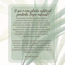 Palmeira Areca Real Planta Artificial